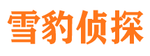 遂川婚外情调查取证